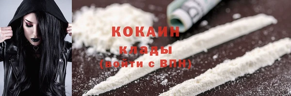 гашик Арсеньев