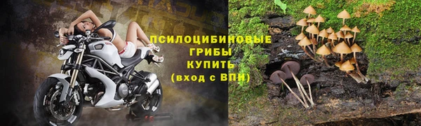 гашик Арсеньев