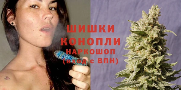 стаф Баксан