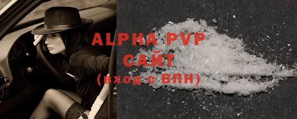 гашик Арсеньев