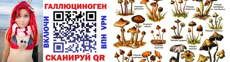 Купить закладки Лангепас Псилоцибиновые грибы Psilocybine cubensis